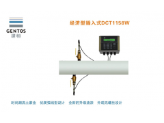 建恒供應(yīng)DCT1158W插入式超聲波流量
