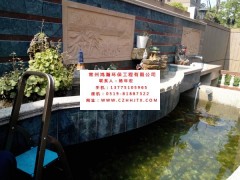 上海市景觀魚池水凈化過濾生產廠家