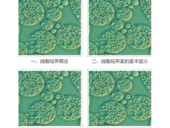 宜興賽爾生物提供宜興細胞培養基，