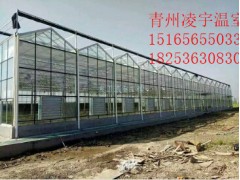 智能溫室哪里的好？如何選擇智能溫