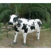 創(chuàng)新的仿真奶牛雕塑玻璃鋼動物雕塑當(dāng)選佳鴻雕塑——馬鞍山