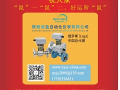 陜西諾盈自動(dòng)化儀表  總經(jīng)理  李軍榮2020新春寄語(yǔ) 一百零八星報(bào)喜之地樂(lè)星
