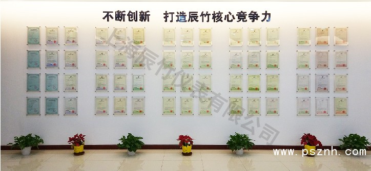 榮譽(yù) | 辰竹董事長(zhǎng)王竹平獲評(píng)CAIMRS領(lǐng)軍力量之智未來·產(chǎn)業(yè)先鋒
