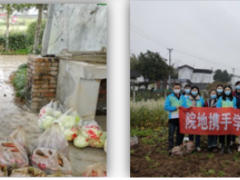 學(xué)習(xí)雷鋒好榜樣，團員青年獻愛心