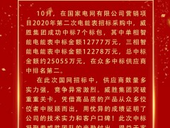 喜報 | 威勝集團成功中標電網項目超2.5億元！