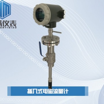 恒滿測(cè)控_插入式電磁流量計(jì)_ LD型自