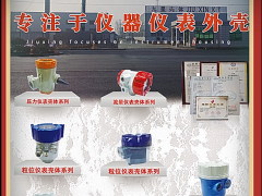 天長(zhǎng)市九星儀表有限公司總經(jīng)理 王書彬  ?2022新年寄語(yǔ)