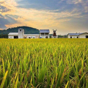 2023中國(guó)鄭州國(guó)際有機(jī)食品產(chǎn)業(yè)展覽