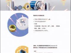 上海德薩堡傳感器有限公司  總經(jīng)理 王欣 2023年新春寄語