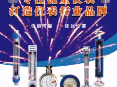 余姚市寶匯流量?jī)x表廠 總經(jīng)理 宋銀芳 2023年新春寄語