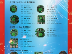 西安朗創(chuàng)電子技術(shù)有限公司 總經(jīng)理  張亮 2024年新春寄語