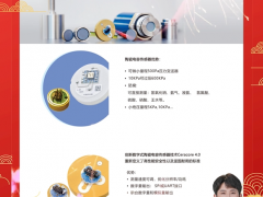 上海德薩堡傳感器有限公司 總經(jīng)理 王欣  2024年新春寄語(yǔ)