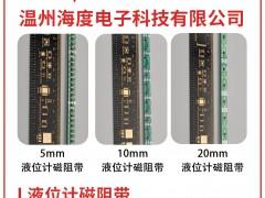 溫州海度電子成為《2025年儀表?yè)サ皳淇伺啤贩綁K4得主-系列報(bào)道53